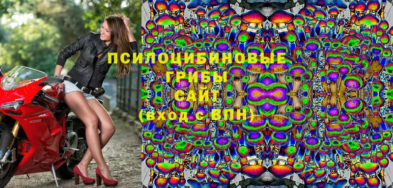 Псилоцибиновые грибы Magic Shrooms  Горячий Ключ 